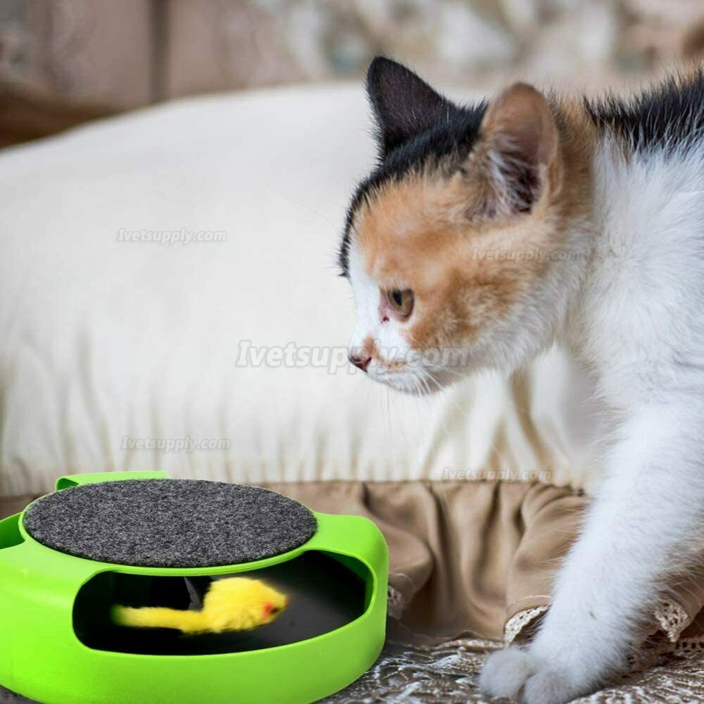 Interactive Cat Toys Mouse Catch Kitten Toy 4x Extra Running Mice Scratching Pad